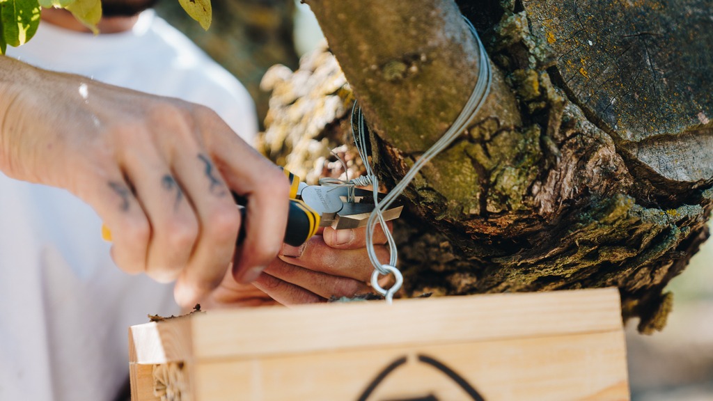 Installing bee shelter.