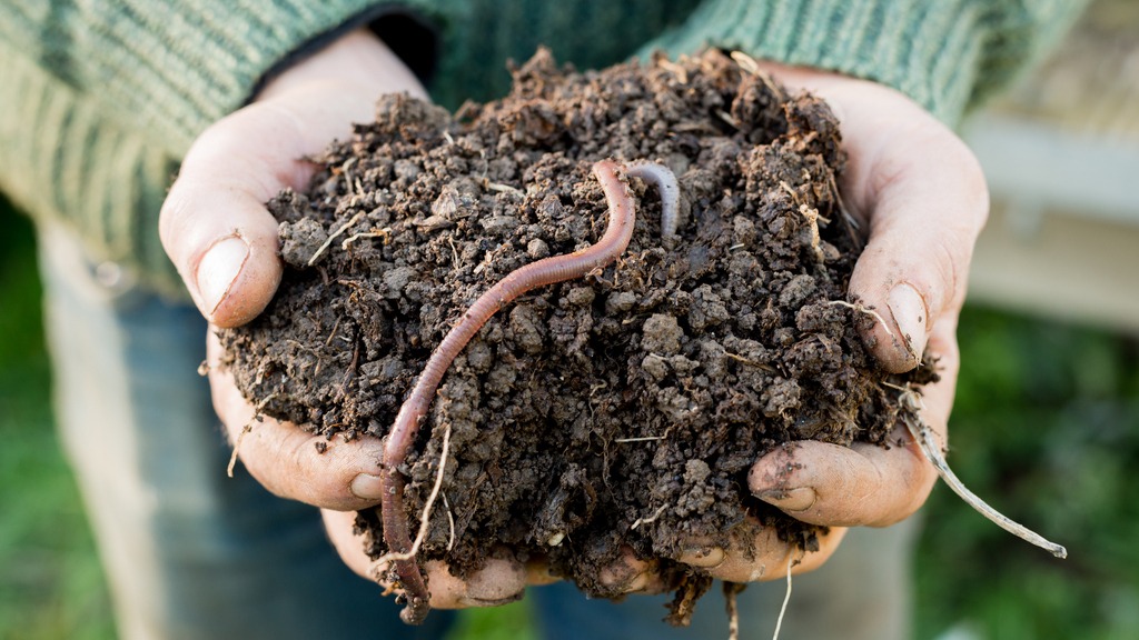 Healthy soil